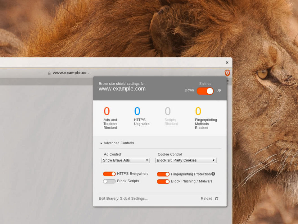 brave web browser extensions